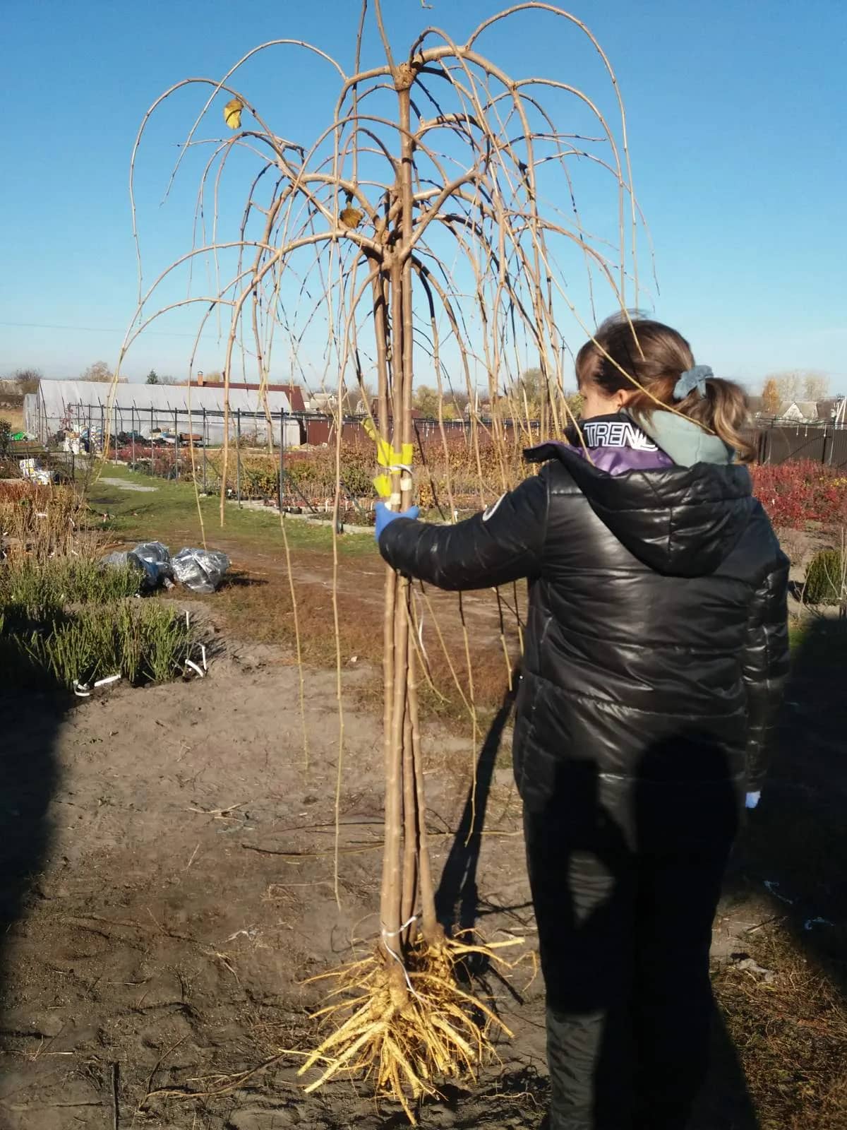 Изображение продукта или услуги